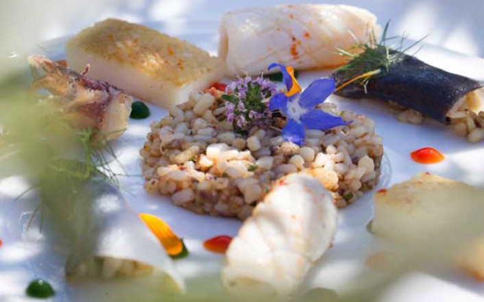 Nos restaurants préférés en Provence et sur la Côte d'Azur