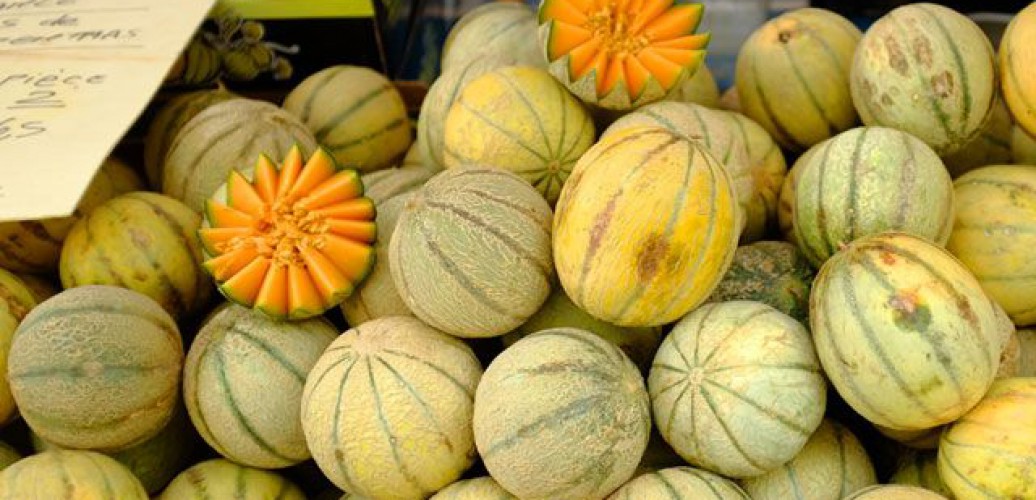 Provencal market Saint-Raphaël 