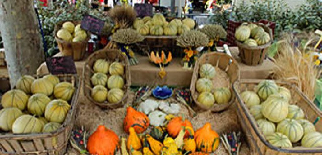 Melons en fêtes