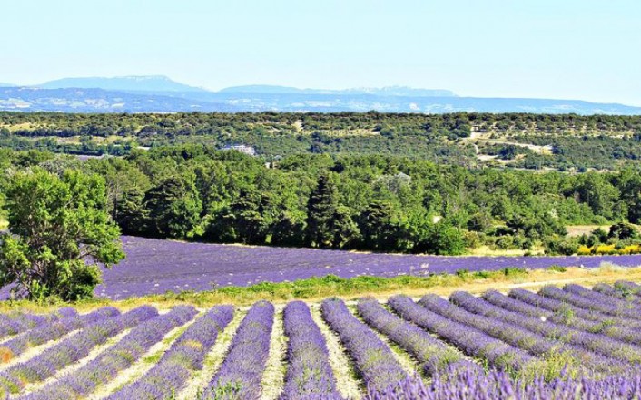 Nature & Bike Provence - Avignon