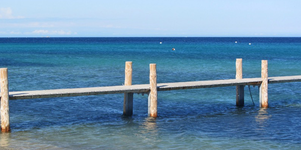 scaffold in water